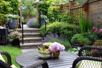 decor-gradina-cu-plante
