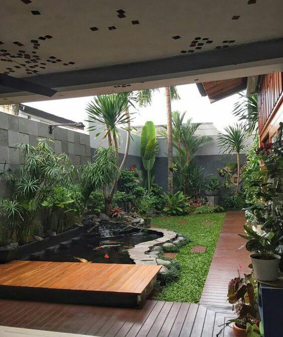 gradina-cu-plante-exotice