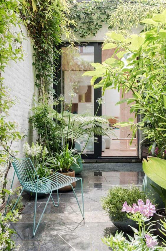 gradina-mica-cu-plante