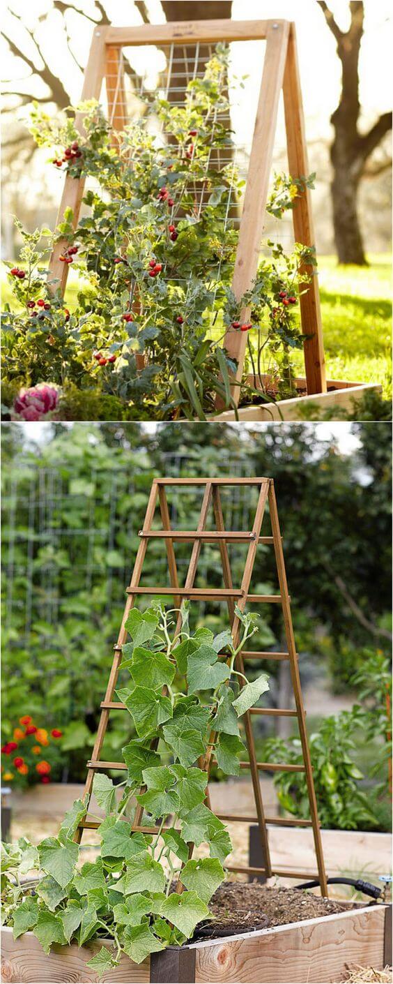 gradini-cu-flori-fructe-si-legume-idei-amenajare