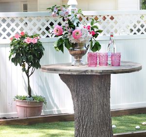 mobilier curte 5