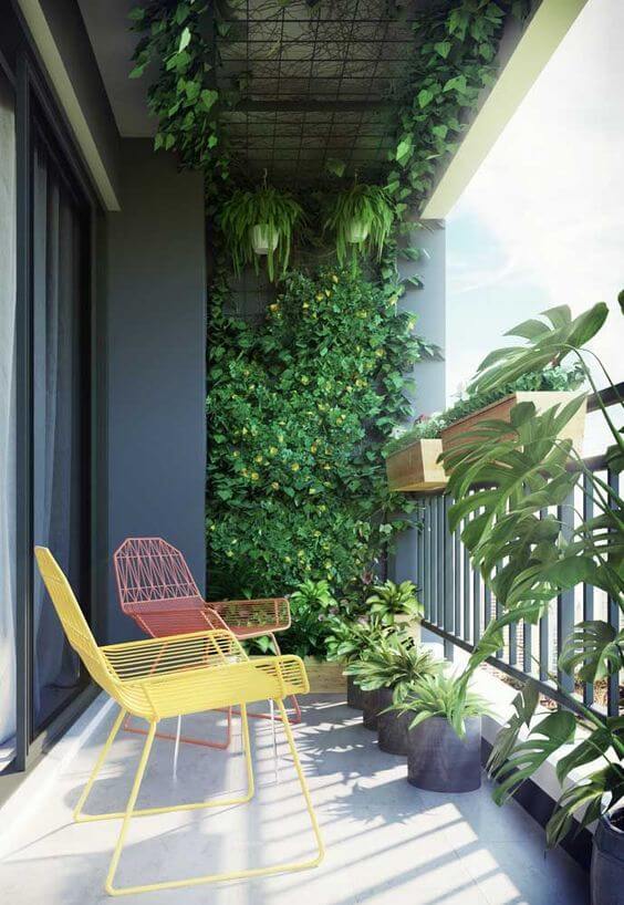 plante-agatatoare-pe-balcon