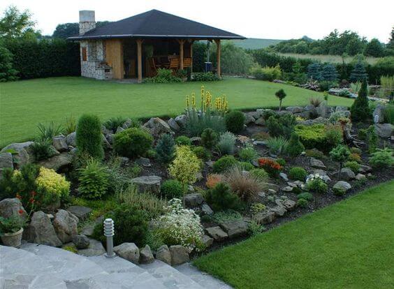 plante-decorative-gradina-de-munte