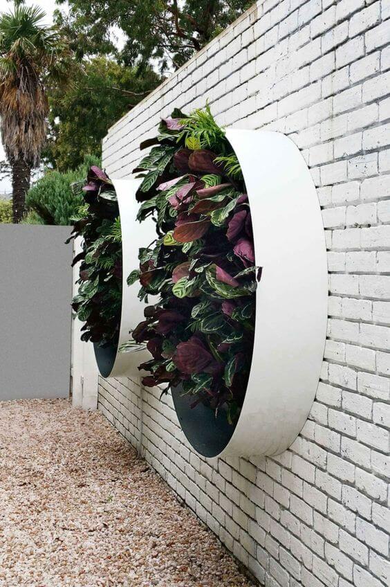 plante-gradina-verticala