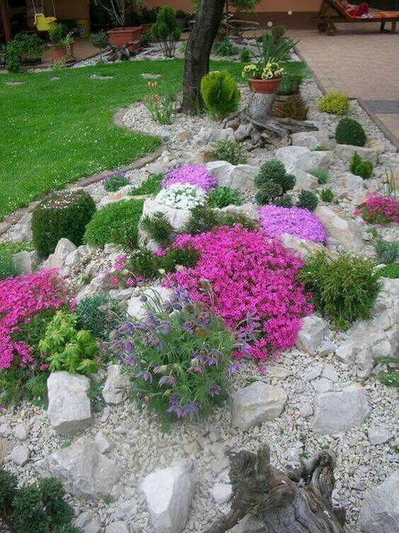 plante-pentru-gradina-la-munte