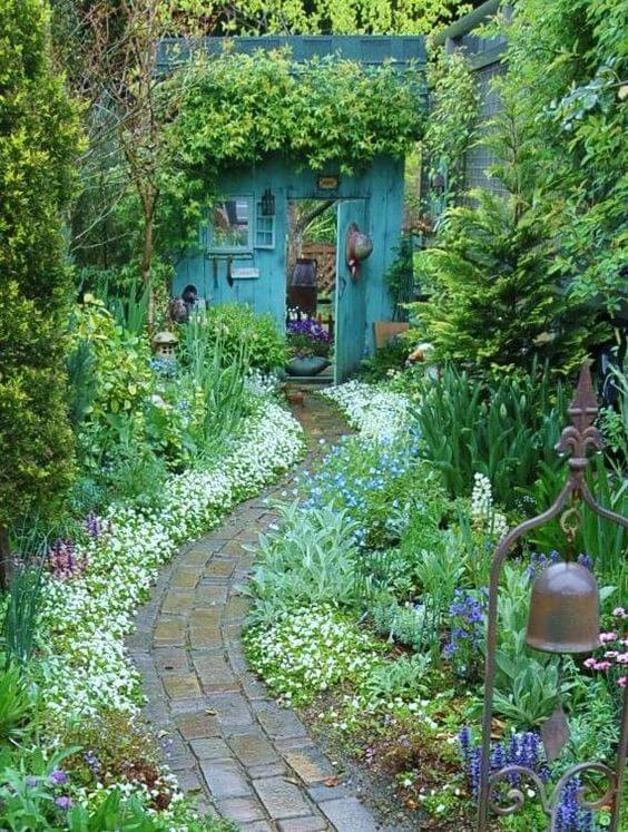 plante-verzi-gradina-rustica