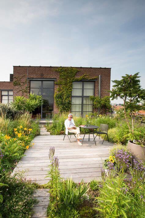 plante-verzi-pe-acoperis