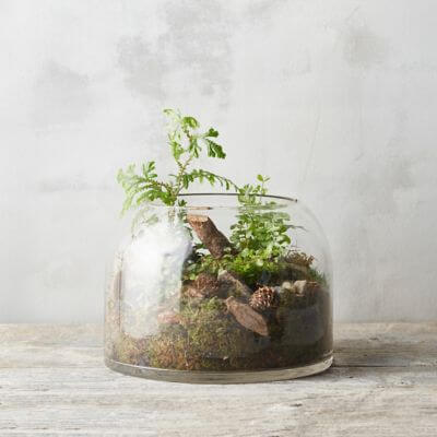 1 idei de cadouri pentru nasii de botez – idei de cadouri pentru cupluri – aranjamente florale cu suculente 3