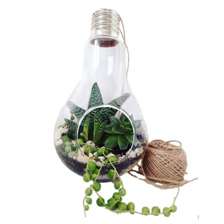 1 idei de cadouri pentru nasii de botez – idei de cadouri pentru cupluri – aranjamente florale cu suculente 4