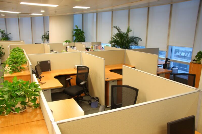 3 amenajare birou colectiv in stil feng-shui cu plante 8