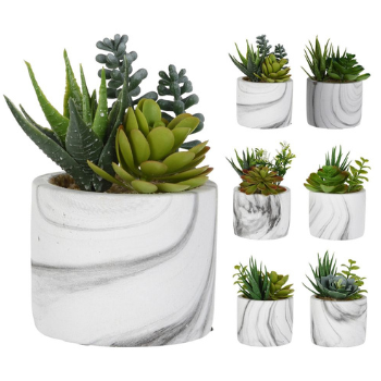 planta in ghiveci planta in ghiveci ceramic