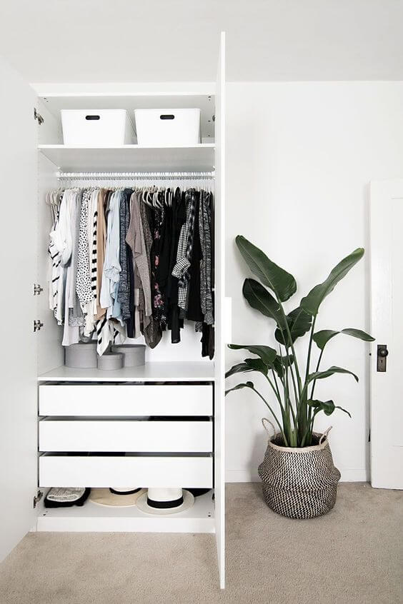 Dressing-ul (3)