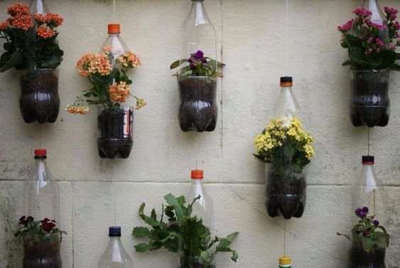 ghivece din sticla de plastic