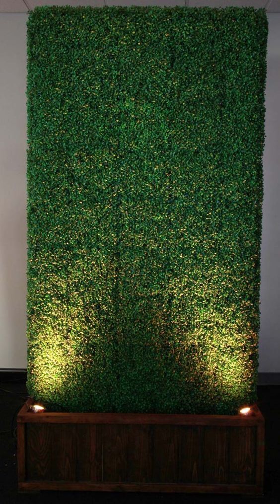 led afara