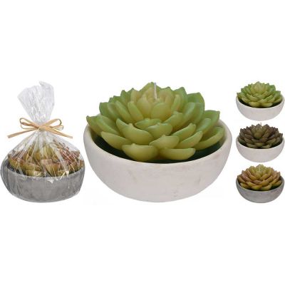 lumanari in forma de planta